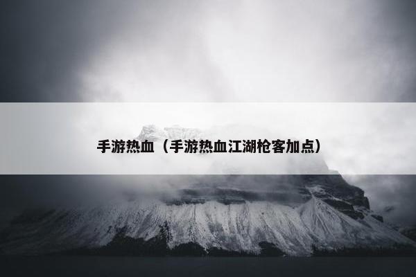手游热血（手游热血江湖枪客加点）
