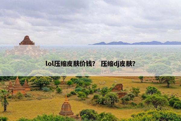lol压缩皮肤价钱？ 压缩dj皮肤？