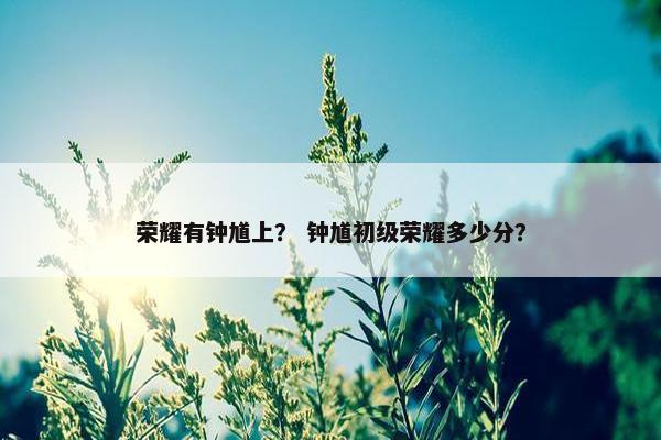 荣耀有钟馗上？ 钟馗初级荣耀多少分？