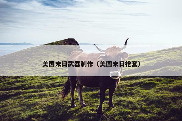 美国末日武器制作（美国末日枪套）