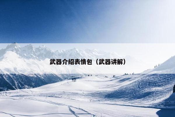 武器介绍表情包（武器讲解）