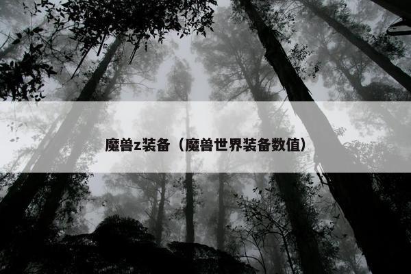 魔兽z装备（魔兽世界装备数值）