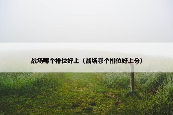 战场哪个排位好上（战场哪个排位好上分）