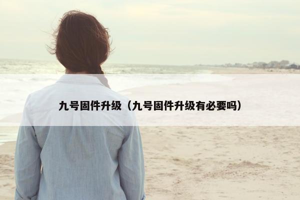 九号固件升级（九号固件升级有必要吗）