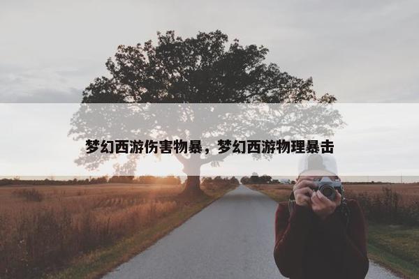 梦幻西游伤害物暴，梦幻西游物理暴击