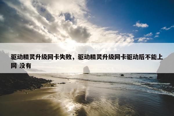 驱动精灵升级网卡失败，驱动精灵升级网卡驱动后不能上网 没有