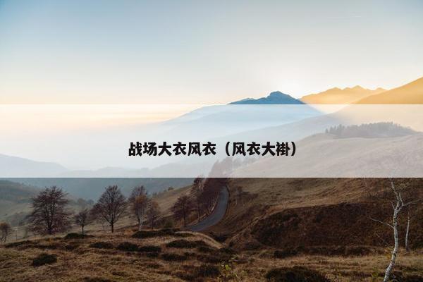 战场大衣风衣（风衣大褂）
