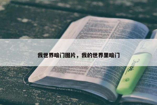 我世界暗门图片，我的世界里暗门
