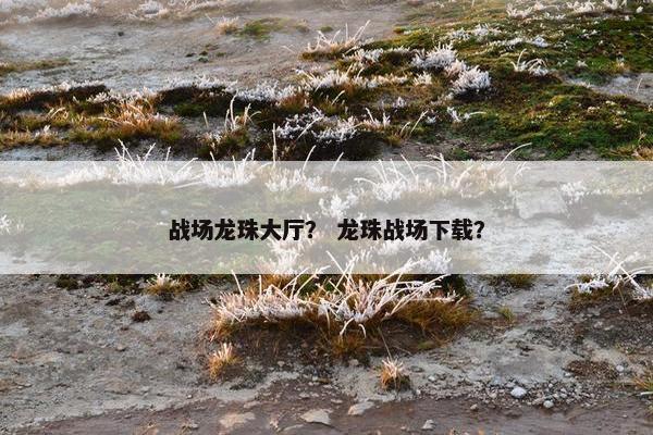 战场龙珠大厅？ 龙珠战场下载？
