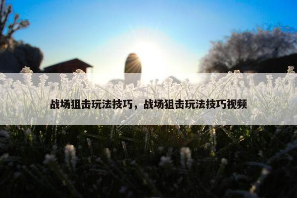 战场狙击玩法技巧，战场狙击玩法技巧视频