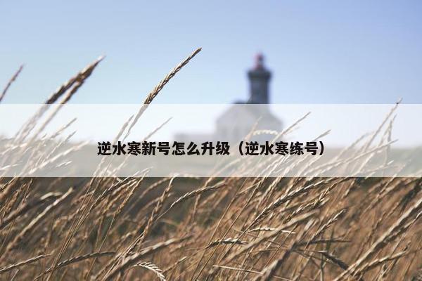 逆水寒新号怎么升级（逆水寒练号）