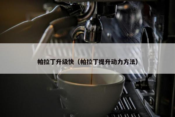 帕拉丁升级快（帕拉丁提升动力方法）