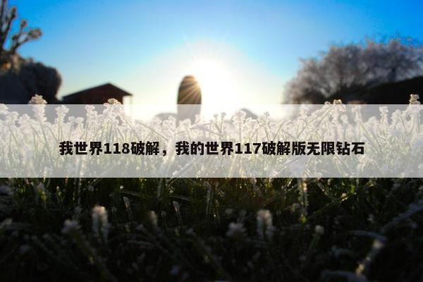我世界118破解，我的世界117破解版无限钻石