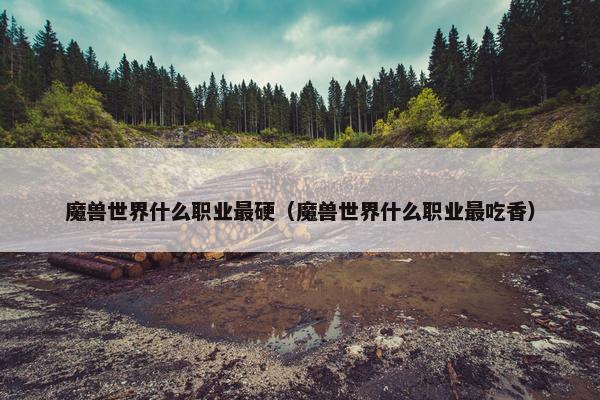 魔兽世界什么职业最硬（魔兽世界什么职业最吃香）