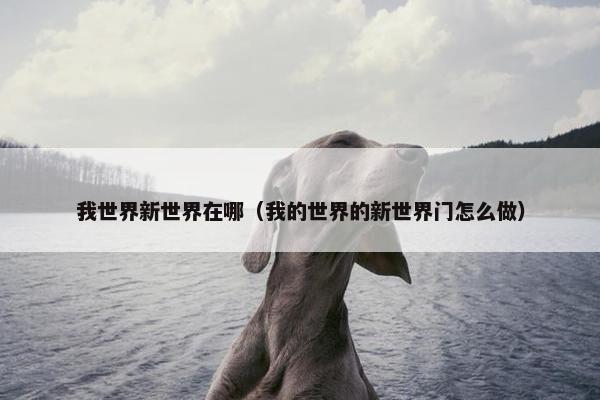 我世界新世界在哪（我的世界的新世界门怎么做）