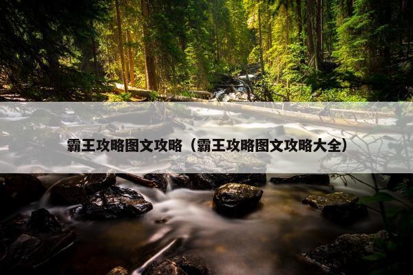 霸王攻略图文攻略（霸王攻略图文攻略大全）