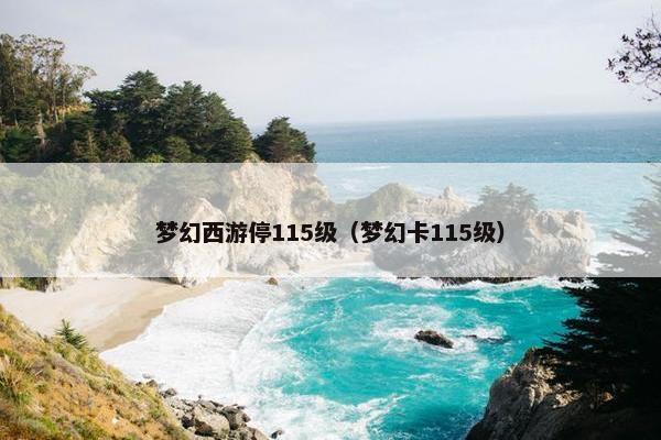 梦幻西游停115级（梦幻卡115级）