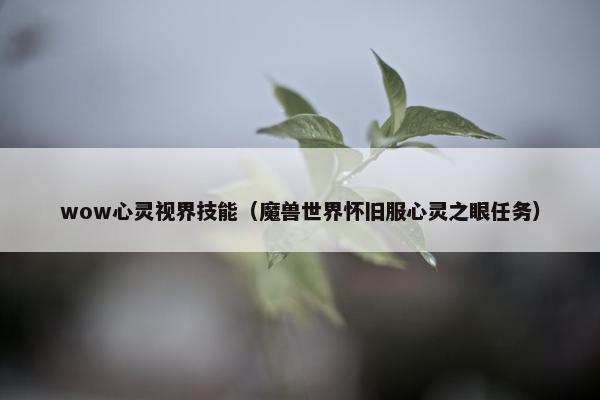 wow心灵视界技能（魔兽世界怀旧服心灵之眼任务）