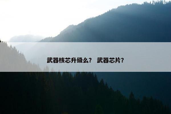 武器核芯升级么？ 武器芯片？