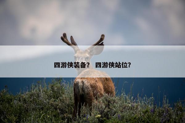 四游侠装备？ 四游侠站位？