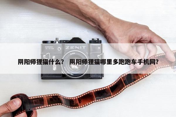 阴阳师狸猫什么？ 阴阳师狸猫哪里多跑跑车手机网？