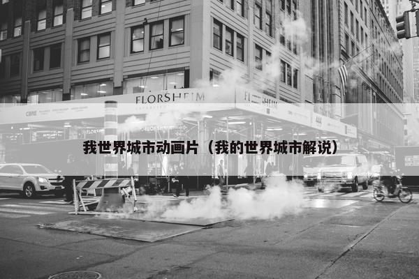 我世界城市动画片（我的世界城市解说）