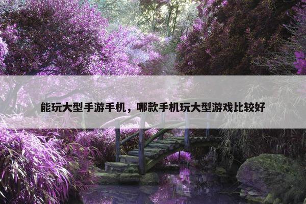 能玩大型手游手机，哪款手机玩大型游戏比较好