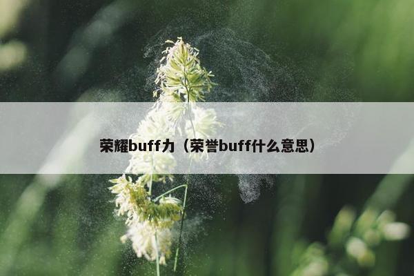 荣耀buff力（荣誉buff什么意思）