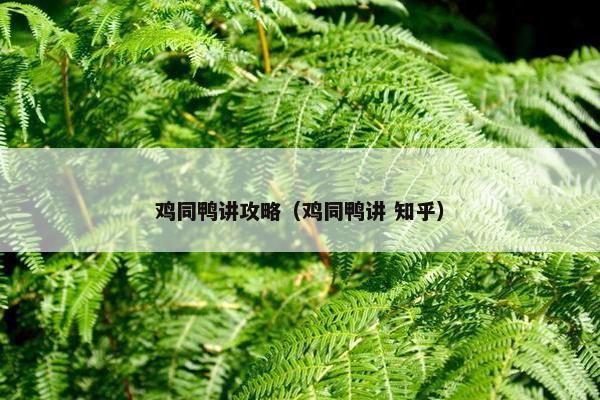 鸡同鸭讲攻略（鸡同鸭讲 知乎）