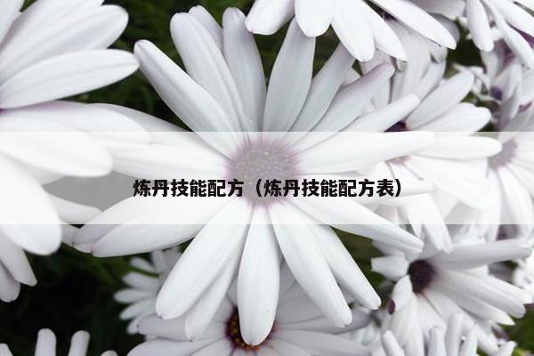 炼丹技能配方（炼丹技能配方表）