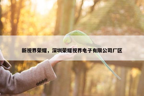 新视界荣耀，深圳荣耀视界电子有限公司厂区