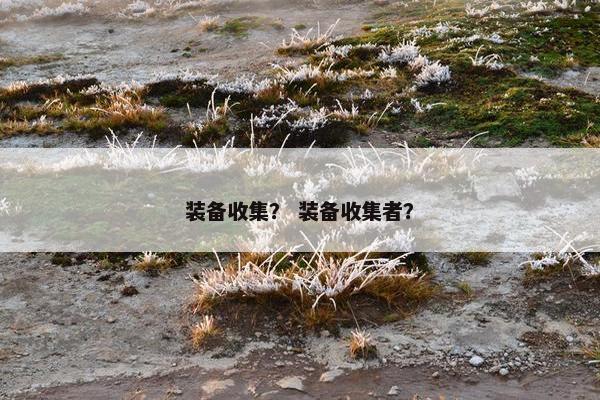 装备收集？ 装备收集者？