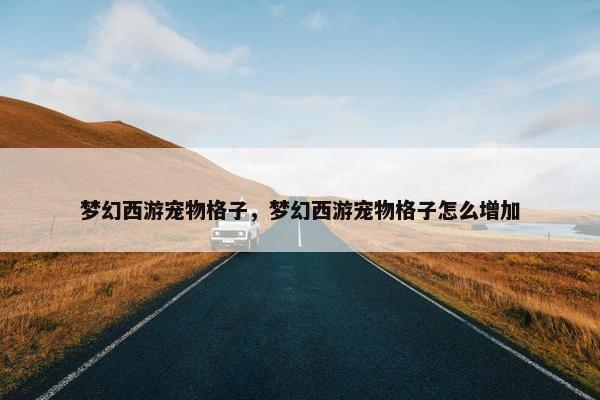 梦幻西游宠物格子，梦幻西游宠物格子怎么增加