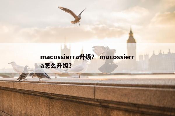 macossierra升级？ macossierra怎么升级？