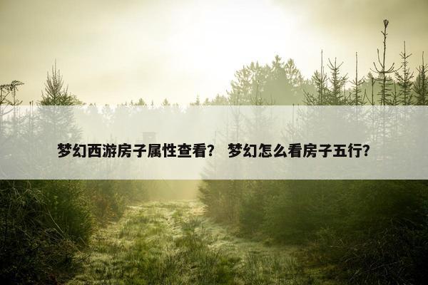 梦幻西游房子属性查看？ 梦幻怎么看房子五行？