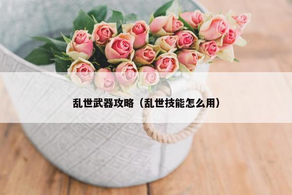 乱世武器攻略（乱世技能怎么用）