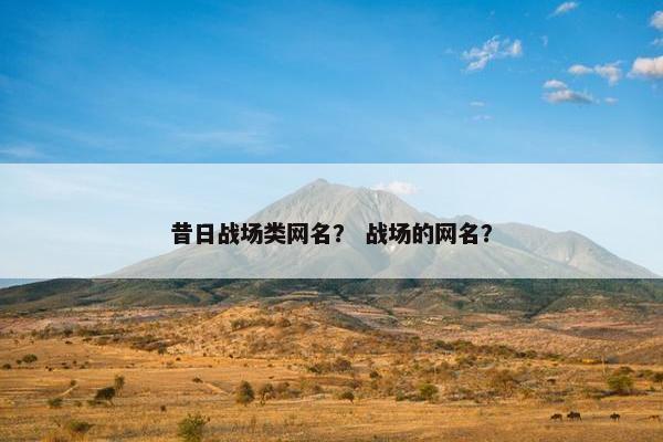 昔日战场类网名？ 战场的网名？