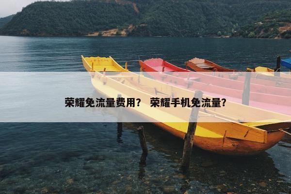荣耀免流量费用？ 荣耀手机免流量？