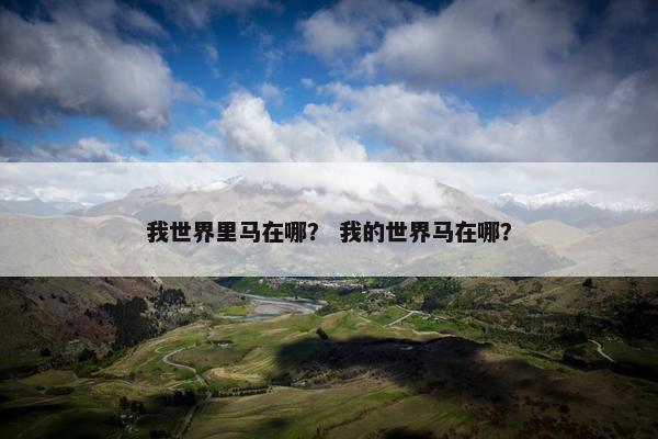 我世界里马在哪？ 我的世界马在哪？