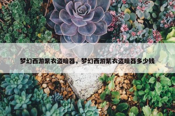 梦幻西游紫衣盗暗器，梦幻西游紫衣盗暗器多少钱