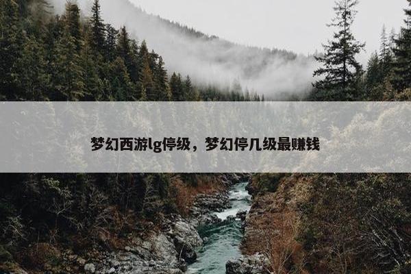 梦幻西游lg停级，梦幻停几级最赚钱