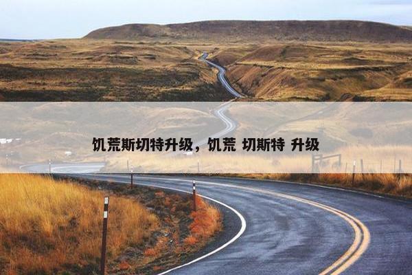 饥荒斯切特升级，饥荒 切斯特 升级