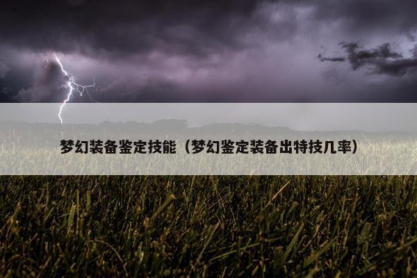 梦幻装备鉴定技能（梦幻鉴定装备出特技几率）