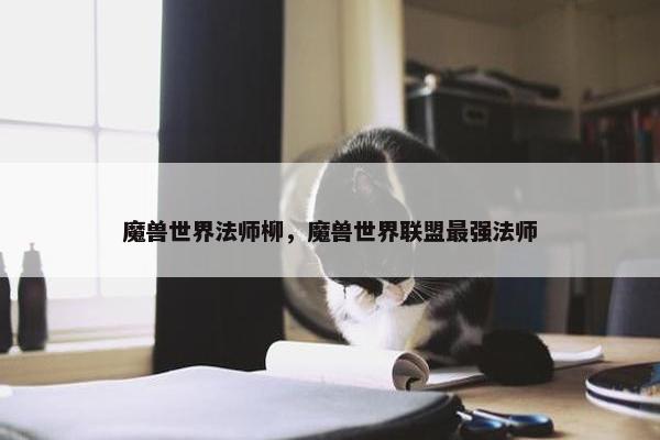 魔兽世界法师柳，魔兽世界联盟最强法师