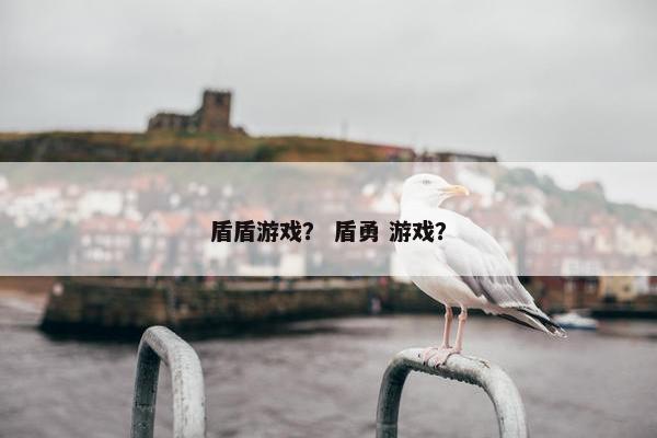 盾盾游戏？ 盾勇 游戏？