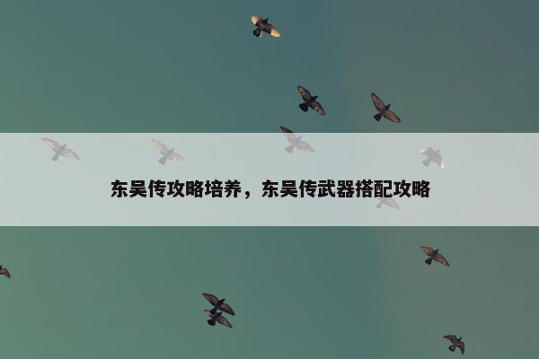 东吴传攻略培养，东吴传武器搭配攻略