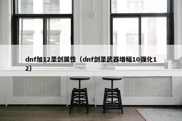 dnf加12圣剑属性（dnf剑圣武器增幅10强化12）