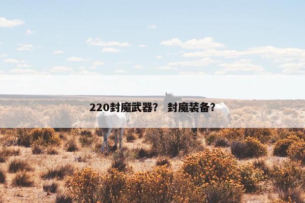 220封魔武器？ 封魔装备？