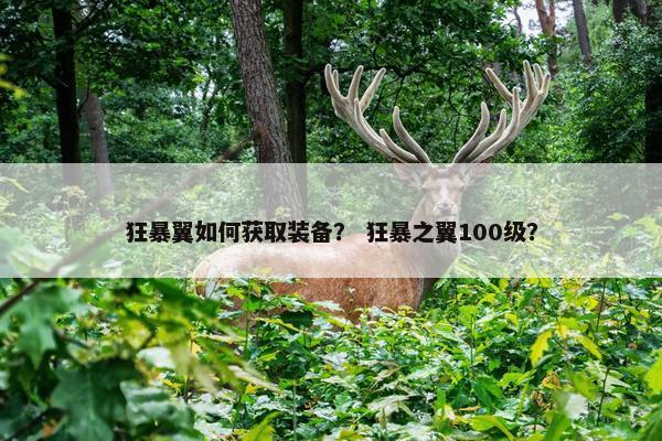 狂暴翼如何获取装备？ 狂暴之翼100级？
