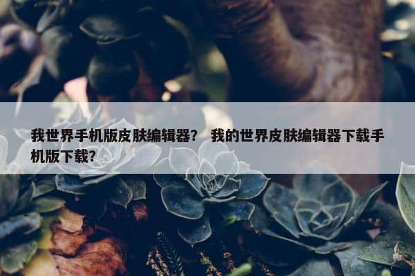 我世界手机版皮肤编辑器？ 我的世界皮肤编辑器下载手机版下载？